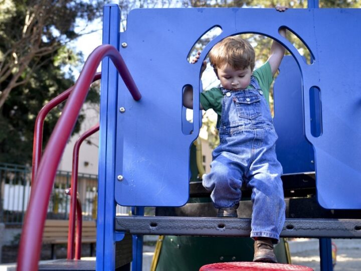 Oficjalne otwarcie rozbudowanej placówki Przedszkola nr 7 – nowy wymiar edukacji dla młodych chorzowian