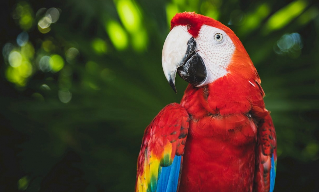 Wieczór Marzeń w Śląskim Ogrodzie Zoologicznym – magiczne wydarzenie dla dzieci z niepełnosprawnościami